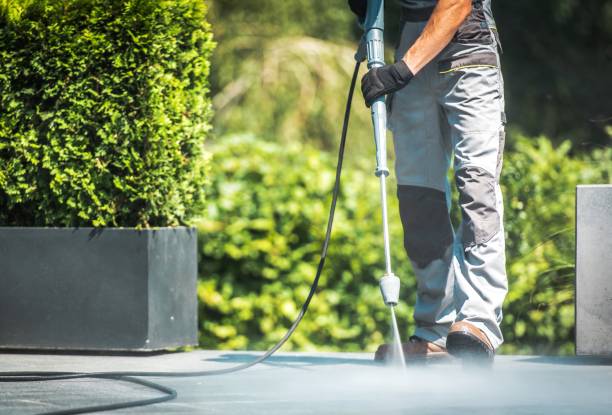 Best Building Exterior Washing  in Lamont, MI