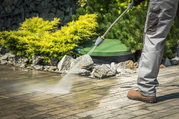 Best Driveway Pressure Washing  in Lamont, MI