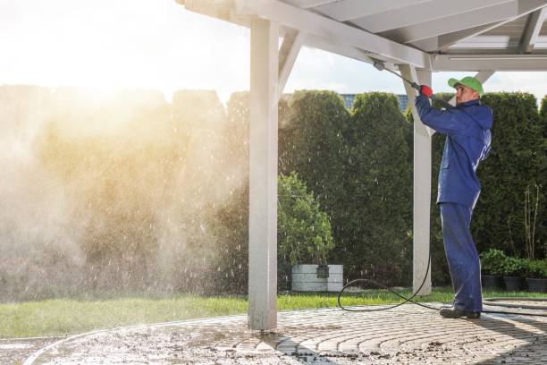 Best Roof Washing  in Lamont, MI