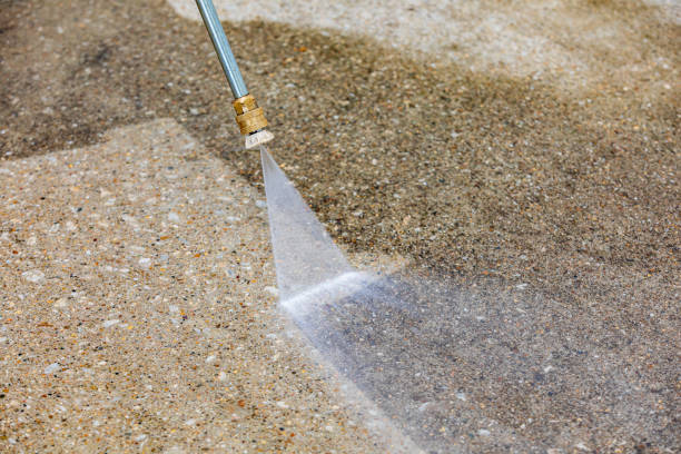 Best Pre-Holiday Cleaning  in Lamont, MI