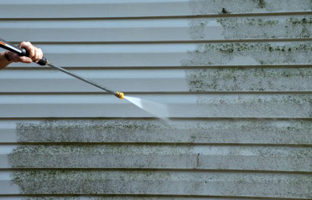 Best Gutter Cleaning  in Lamont, MI