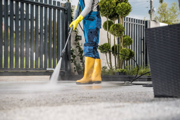 Best Dumpster Area Cleaning  in Lamont, MI